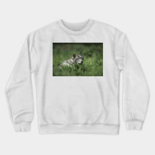 Timber Wolf Crewneck Sweatshirt